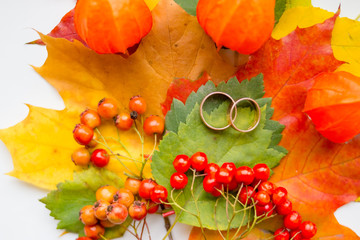 two golden Wedding rings, colorful leaves.Creative seasonal autumn background.Wedding in fall season.maple leaves, wedding ring, invitation card Autumn wedding invitation. Top view, flat lay