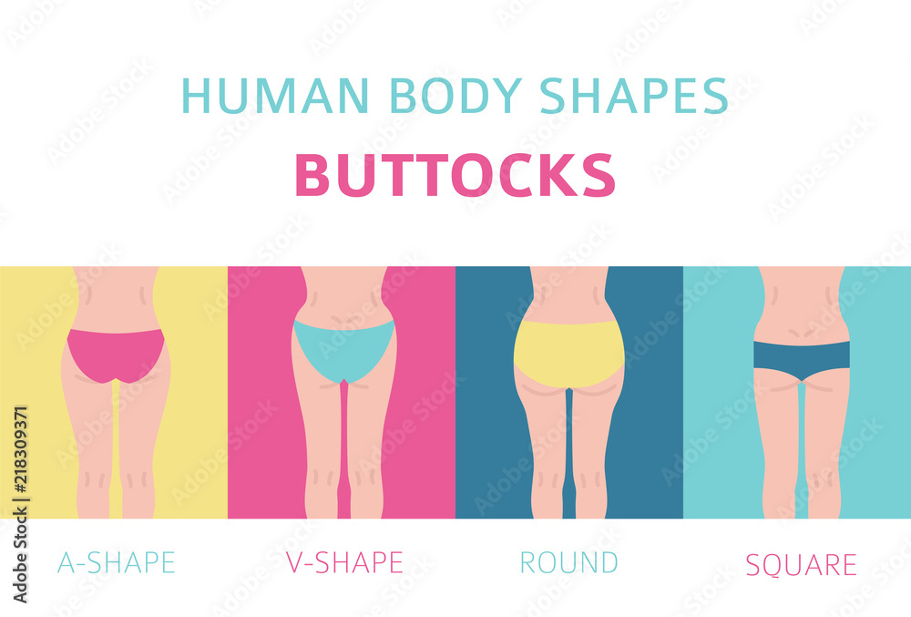 Human body shapes. Woman buttocks types set Stock Vector | Adobe Stock