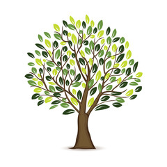 Wall Mural - Illustration Tree Design In white background