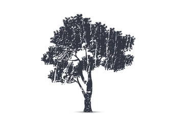 Wall Mural - Silhouette tree illustration