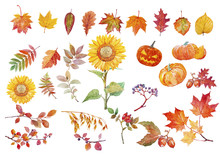 Watercolor Illustration Of Yellow And Red Autumn Leaves