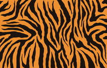 Texture Of Bengal Tiger Fur, Orange Stripes Pattern. Animal Skin Print. Safari Background. Vector