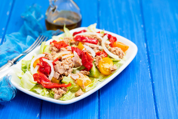 Wall Mural - tuna salad on white dish