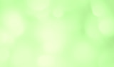 Fototapeta Tulipany - Blurred abstract green background, space for design element