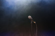 © nagaets - Live music background.Microphone and stage lights.Sing and karaoke