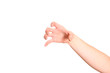 © Irina Brinza - Gesture of womans open hand