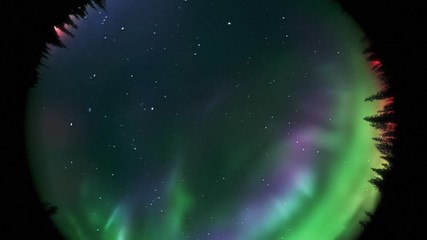 blue violet aurora dancing in a midnight sky