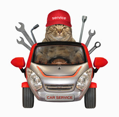 Wall Mural - the cat auto mechanic in a red cap is in a car of the vehicle repairs company. white background.