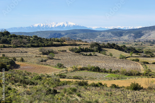 фотография View of pyrynees from Chateau Aguilar, France