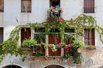  antica facciata con rampicante e fiori sulla Piazza degli Scacchi a Marostica