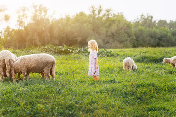 smiling and trying to feed sheep in summer outdoors / happy kids. children are brought up in nature. wild child. children and animals.