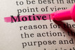 definition of motive