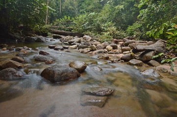 a river with stones