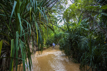 Fairy Stream tour at Muine, Vietnam