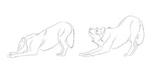 Wolf Stands, Lines, Vector