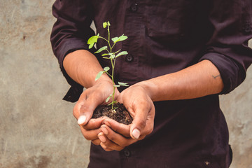 Man holding Plant