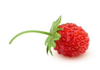 wild strawberry isolated on white background, clipping path, full depth of field