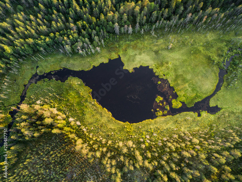 widok-z-lotu-ptaka-las-i-maly-jezioro-lub-staw-w-borealnym-aka-tajgi-lesie-w-finlandia
