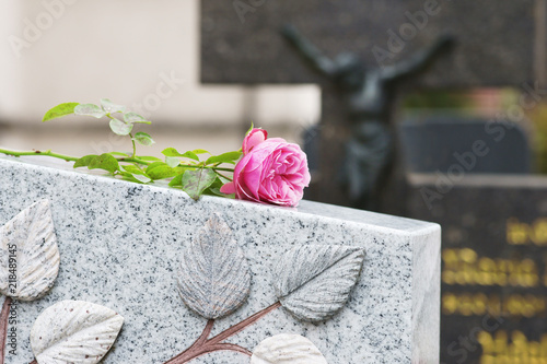 Fotografía Churchyard, Friedhof, Grab, Allerheiligen, Allerseelen, Rose, Textraum, copy spa