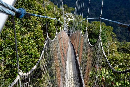 Naklejka most 3d   most-canopy-walk-z-glebia-3d