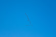 Vogelschwarm im blauen Himmel in Formationsflug