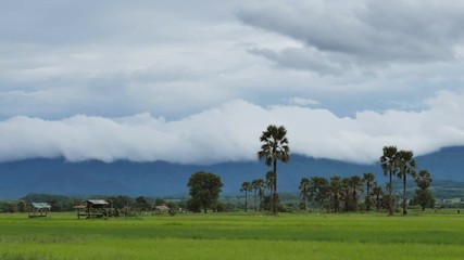 Wall Mural - Time Lapse of View of the countryside in the valley, Thailand