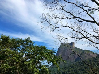 Dois Irmãos / Two Brothers