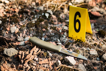 Knife's in the woods. photos of the murder and the crime scene investigation. Weapon, knife.