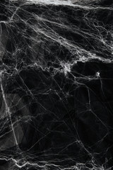 Spider web over black background. Halloween concept.