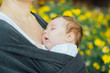 © kaloriya - Infant baby sleeping in a wrap