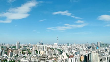 Fotomurali - 東京風景　タイムラプス