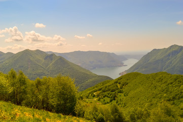 Wall Mural - A summer day picture of green trees and plants on a mountain hill with the background of the cloudy sky and a river visible