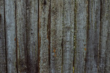 Fototapeta Las - Texture of an old tree. Boards
