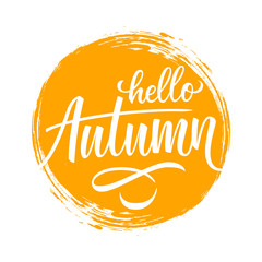 Wall Mural - Hello Autumn handwritten lettering text design on circle brush stroke background. Vector illustration.