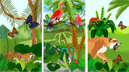 Wall Mural - Jungle scene vertical banner illustration with Bird of Paradisea, puma, parrots, butterflies, exotic plants, rainforest fauna, vector illustration