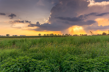 Wall Mural - countryside panorama at sunset