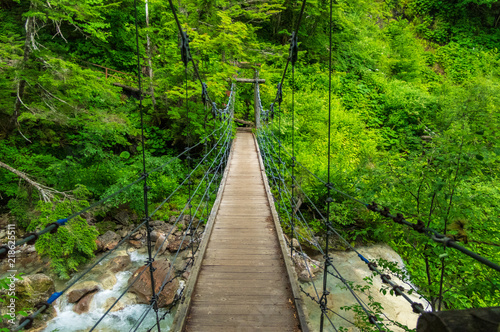  Fototapeta most w dżungli   most-w-dzungli-z-perspektywa
