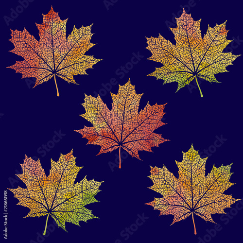 Set Of Watercolor Maple Leaves Paint Texture Vector This Set Of Watercolor Maple Leaves Paint Texture Vector
