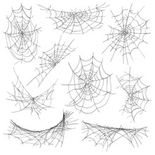 Halloween Cobweb. Spiderweb Isolated On White Background, Corner Design Spider Web For Halloween Background Decorations, Vector Illustration