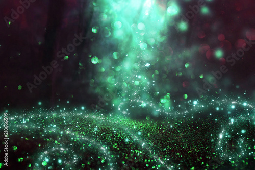Photographie Abstract and magical image of glitter Firefly flying in the night forest