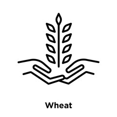 Wall Mural - Wheat icon vector isolated on white background, Wheat sign , thin line design elements in outline style