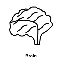 Poster - Brain icon vector isolated on white background, Brain sign , thin line design elements in outline style