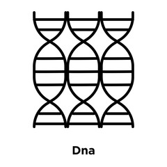 Poster - Dna icon vector isolated on white background, Dna sign , thin line design elements in outline style