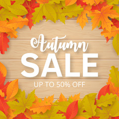 Wall Mural - Autumn sale background with leaves. Can be used for shopping sale, promo poster, banner, flyer, invitation, website or greeting card. Vector illustration