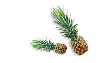  Pineapple on white background.