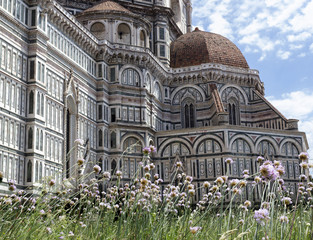 Wall Mural - florence particular of cathedral italy