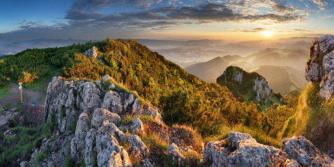 Wall Mural - mountain forest landscape under evening sky with clouds in sunlight.