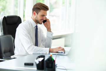 Wall Mural - Happy young businessman using laptop at his office desk