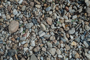 Sticker - stone texture background