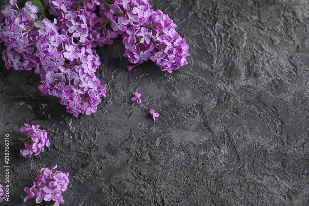 Beautiful blossoming lilac on grey background